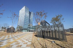 Korea Consumer Agency finds high sodium and cholesterol in frozen snacks